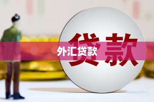 池上外汇贷款