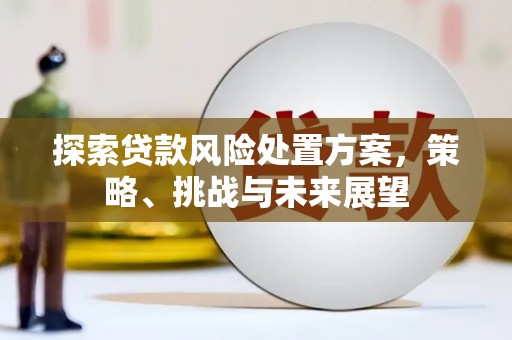 池上探索贷款风险处置方案，策略、挑战与未来展望