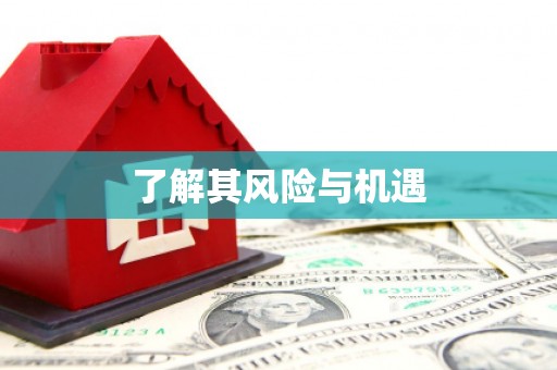 池上了解其风险与机遇