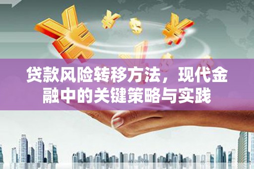池上贷款风险转移方法，现代金融中的关键策略与实践