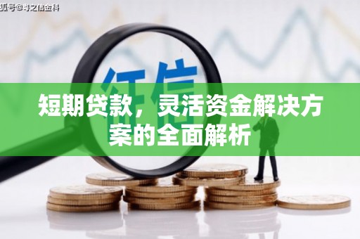 池上短期贷款，灵活资金解决方案的全面解析