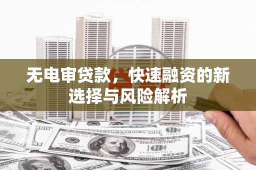 池上无电审贷款，快速融资的新选择与风险解析