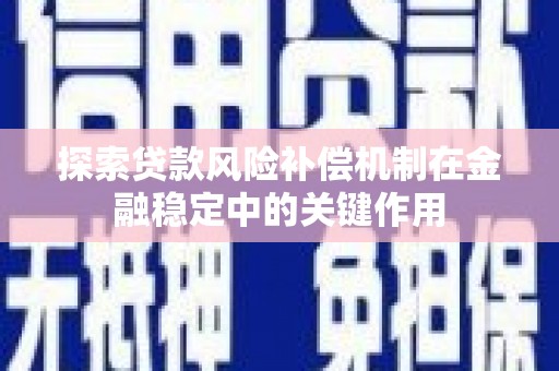 池上探索贷款风险补偿机制在金融稳定中的关键作用