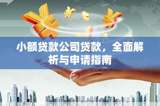 池上小额贷款公司贷款，全面解析与申请指南