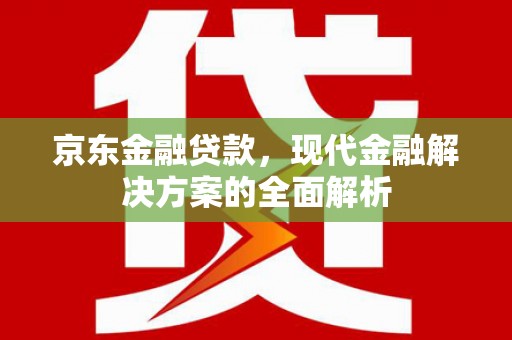 池上京东金融贷款，现代金融解决方案的全面解析