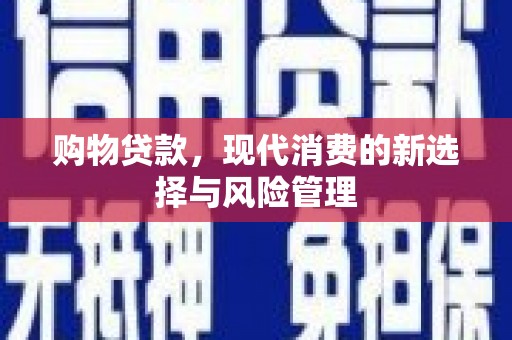 池上购物贷款，现代消费的新选择与风险管理