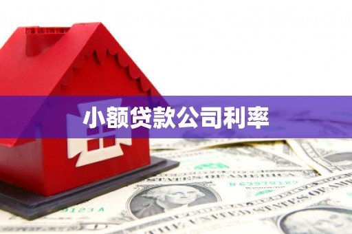 池上小额贷款公司利率
