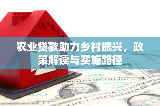 池上农业贷款助力乡村振兴，政策解读与实施路径