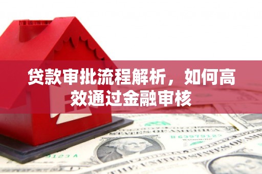 池上贷款审批流程解析，如何高效通过金融审核