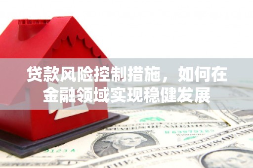 池上贷款风险控制措施，如何在金融领域实现稳健发展