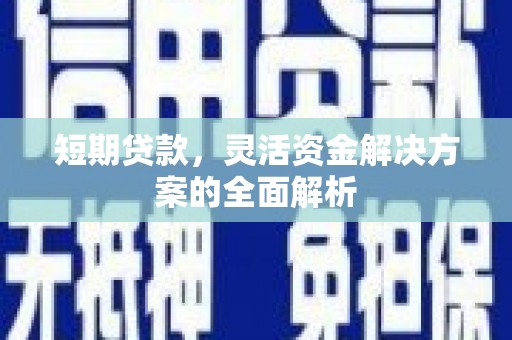 池上短期贷款，灵活资金解决方案的全面解析