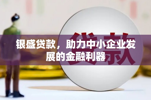 池上银盛贷款，助力中小企业发展的金融利器