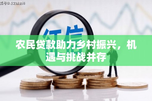 池上农民贷款助力乡村振兴，机遇与挑战并存