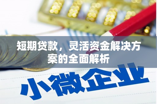 池上短期贷款，灵活资金解决方案的全面解析