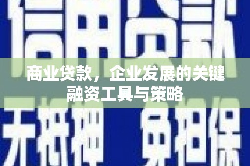 池上商业贷款，企业发展的关键融资工具与策略