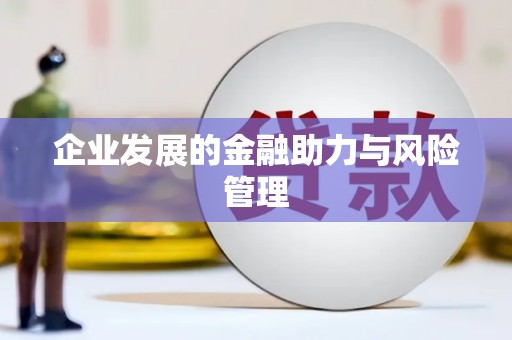 池上企业发展的金融助力与风险管理