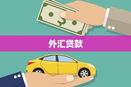 池上外汇贷款