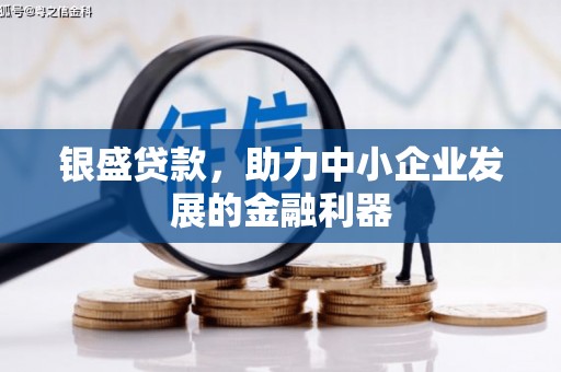 池上银盛贷款，助力中小企业发展的金融利器
