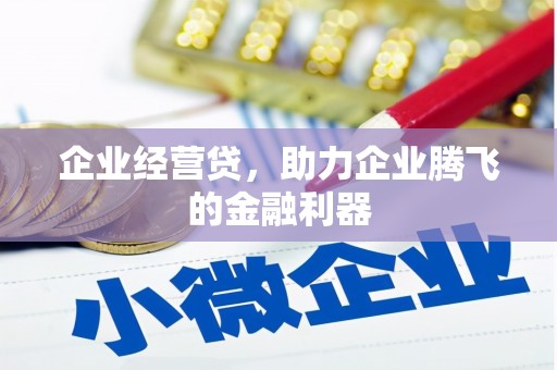 池上企业经营贷，助力企业腾飞的金融利器