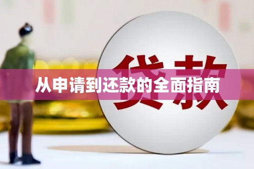 池上从申请到还款的全面指南