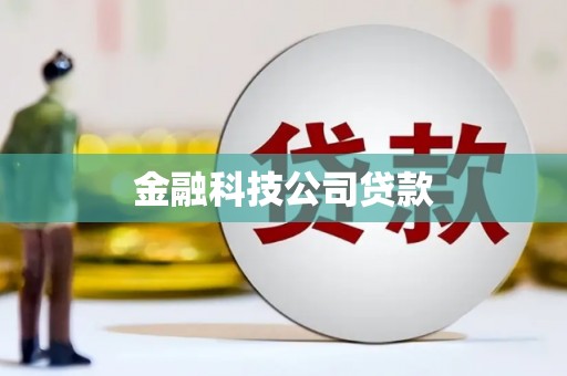 池上金融科技公司贷款