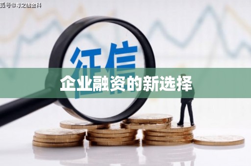 池上企业融资的新选择