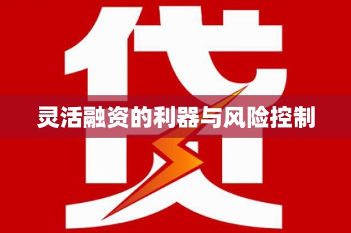 池上灵活融资的利器与风险控制
