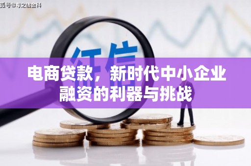 池上电商贷款，新时代中小企业融资的利器与挑战