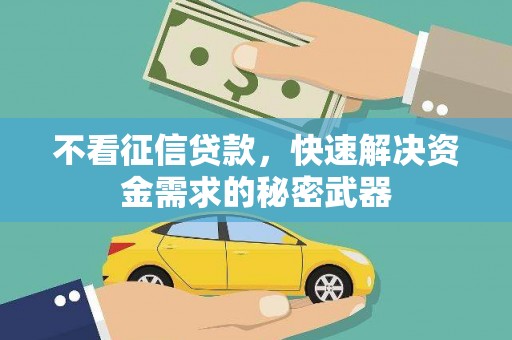 池上不看征信贷款，快速解决资金需求的秘密武器