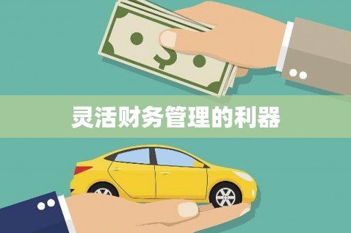 池上灵活财务管理的利器