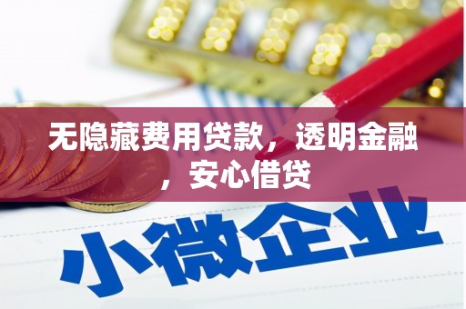 池上无隐藏费用贷款，透明金融，安心借贷