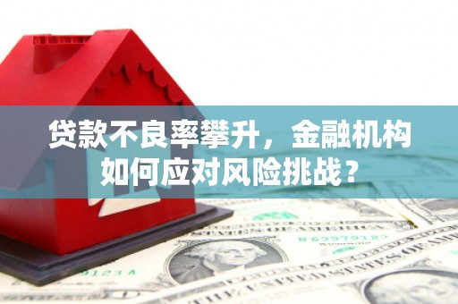 池上贷款不良率攀升，金融机构如何应对风险挑战？
