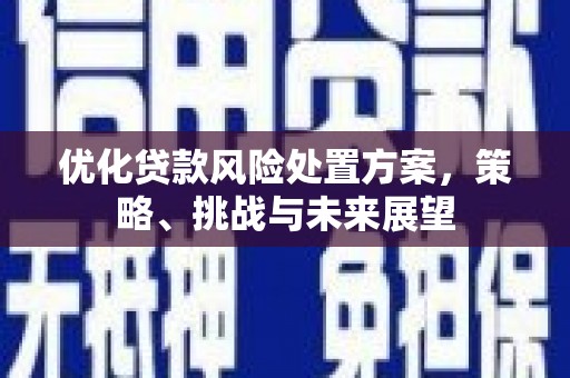 池上优化贷款风险处置方案，策略、挑战与未来展望