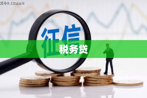 池上税务贷