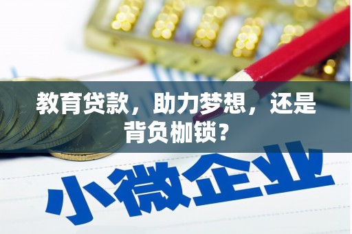 池上教育贷款，助力梦想，还是背负枷锁？