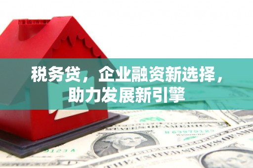 池上税务贷，企业融资新选择，助力发展新引擎