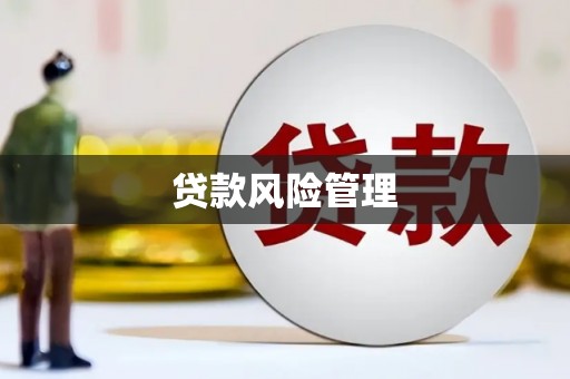 池上贷款风险管理