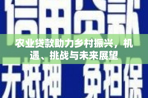 池上农业贷款助力乡村振兴，机遇、挑战与未来展望