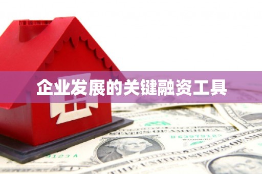 池上企业发展的关键融资工具