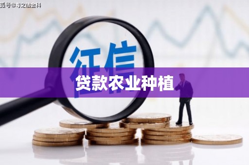 池上贷款农业种植