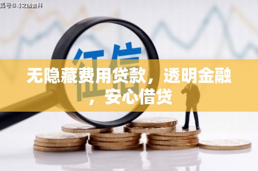 池上无隐藏费用贷款，透明金融，安心借贷