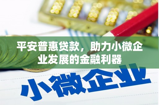 池上平安普惠贷款，助力小微企业发展的金融利器