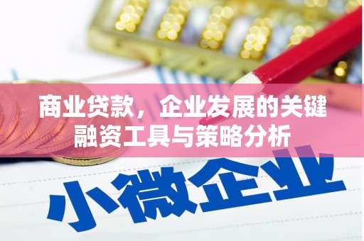 池上商业贷款，企业发展的关键融资工具与策略分析