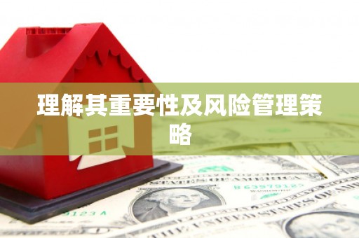 池上理解其重要性及风险管理策略