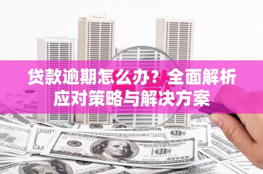池上贷款逾期怎么办？全面解析应对策略与解决方案