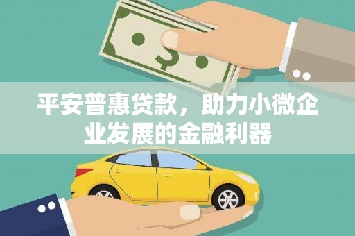 池上平安普惠贷款，助力小微企业发展的金融利器