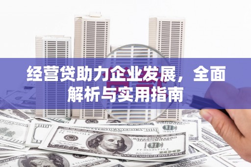 池上经营贷助力企业发展，全面解析与实用指南