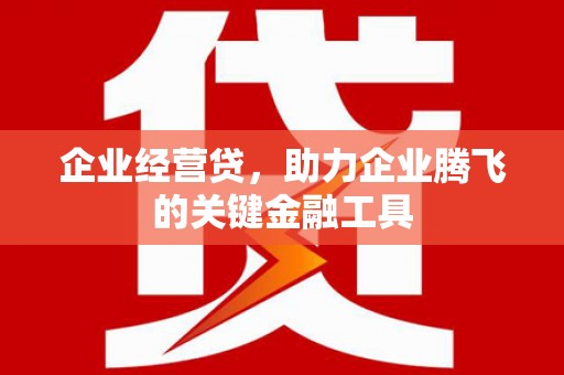 池上企业经营贷，助力企业腾飞的关键金融工具