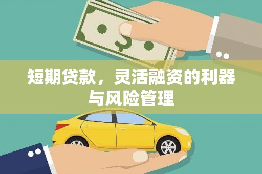 池上短期贷款，灵活融资的利器与风险管理