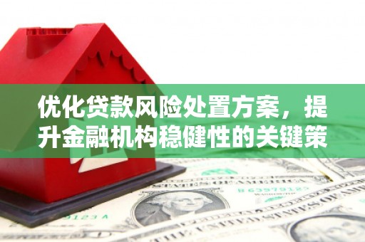 池上优化贷款风险处置方案，提升金融机构稳健性的关键策略